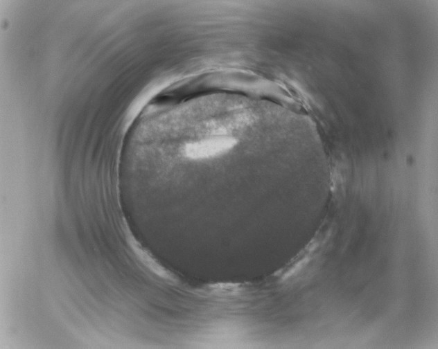 X0000061760052200512302314