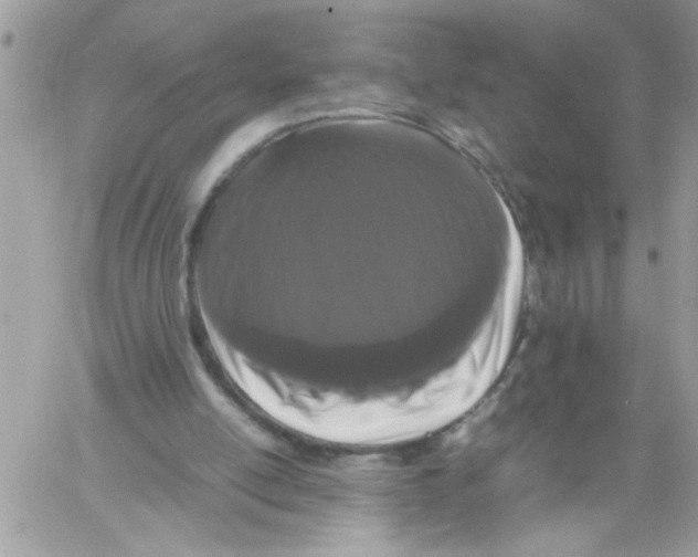 X0000061760054200512302314