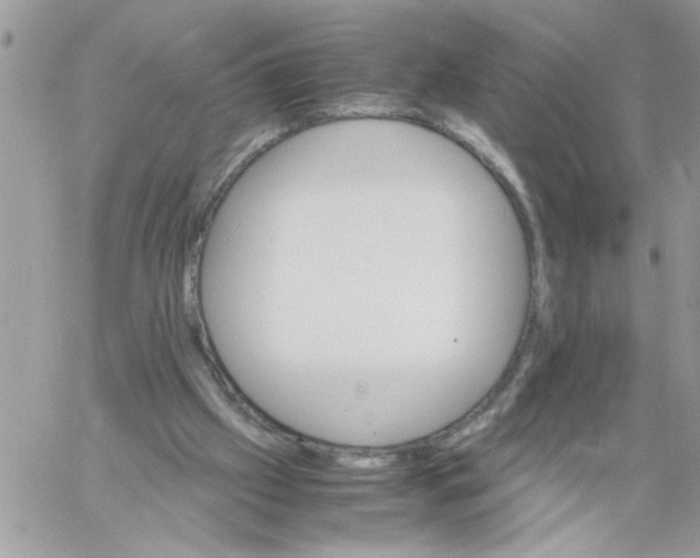 X0000061760057200512302314