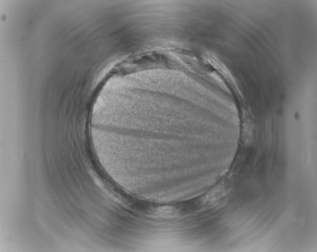 X0000061760058200512302314