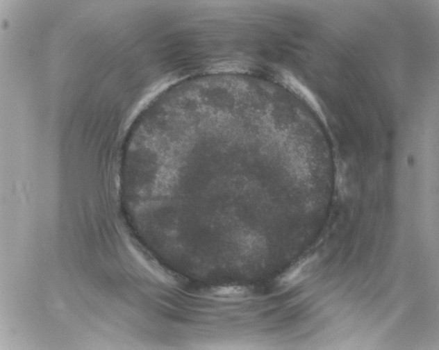 X0000061760059200512302314