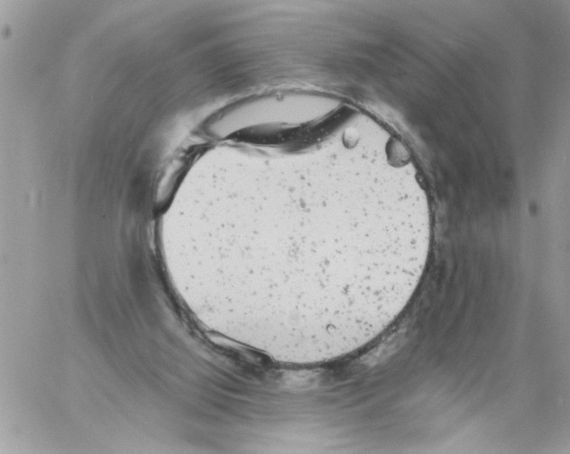 X0000061760060200512302314