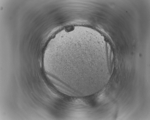 X0000061760062200512302314