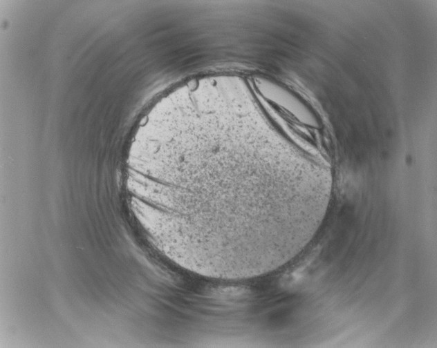 X0000061760063200512302314