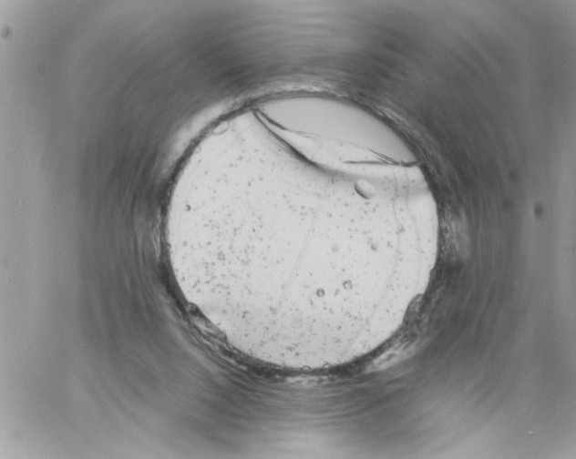 X0000061760064200512302314