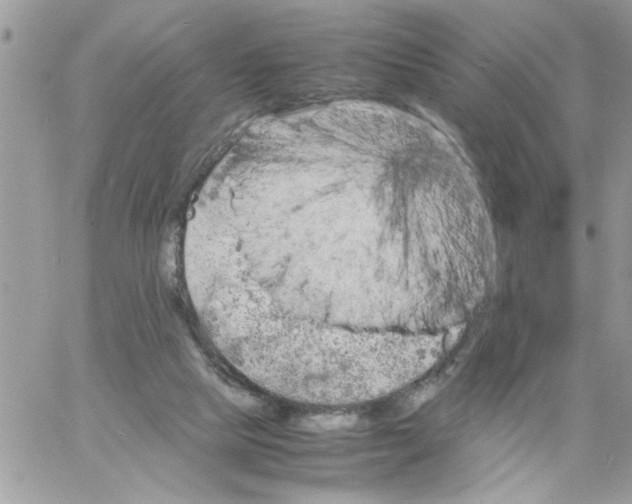 X0000061760065200512302314