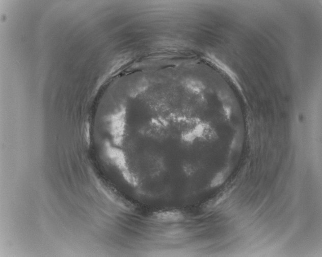 X0000061760067200512302314