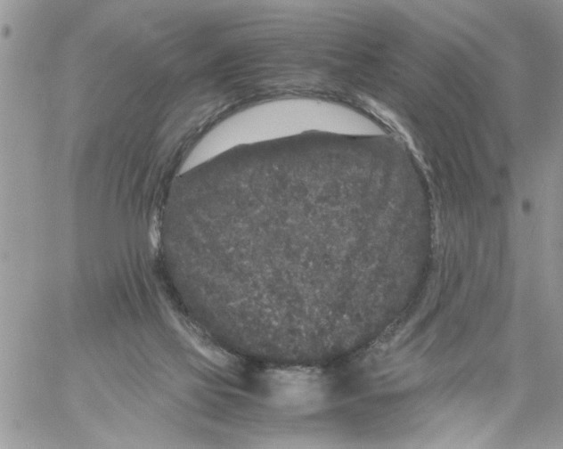 X0000061760069200512302314