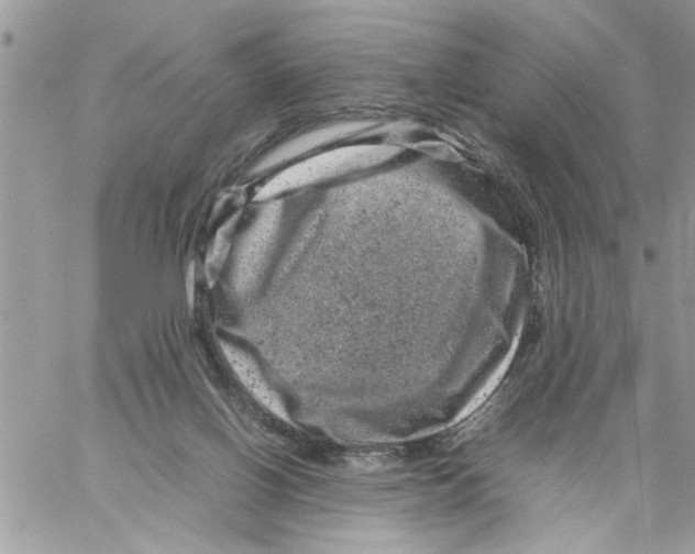 X0000061760070200512302314