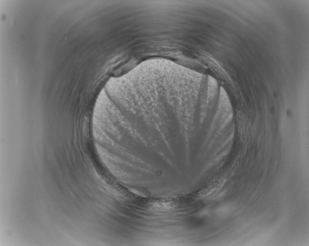 X0000061760071200512302314