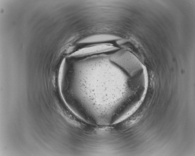 X0000061760072200512302314