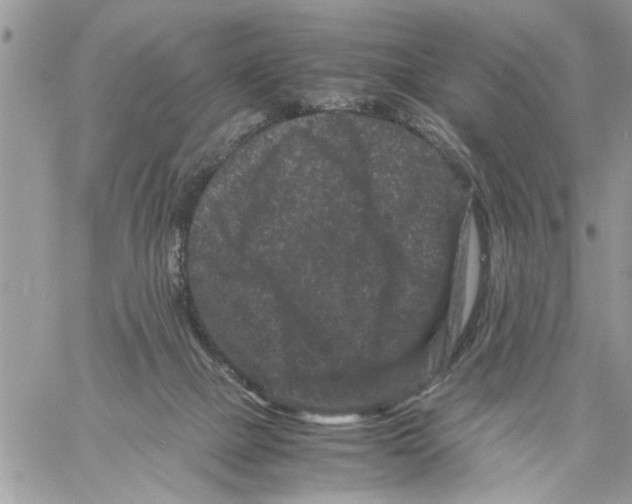 X0000061760073200512302314