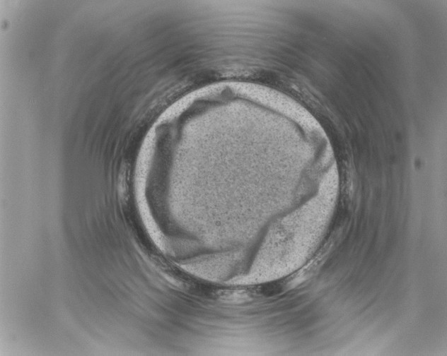 X0000061760074200512302314