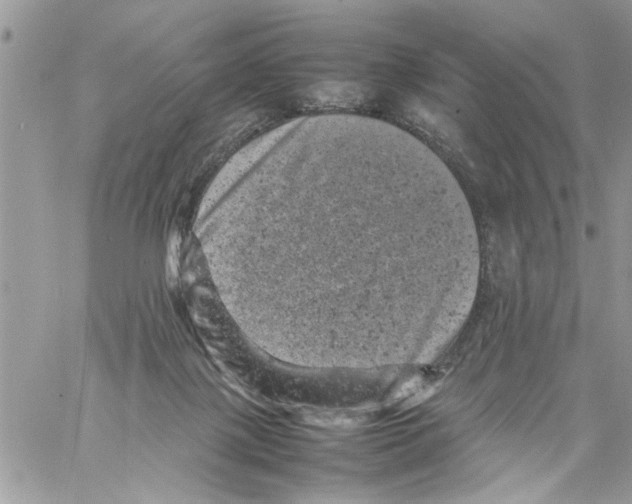 X0000061760075200512302314