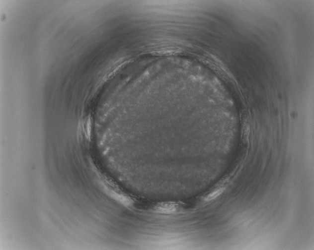 X0000061760076200512302314