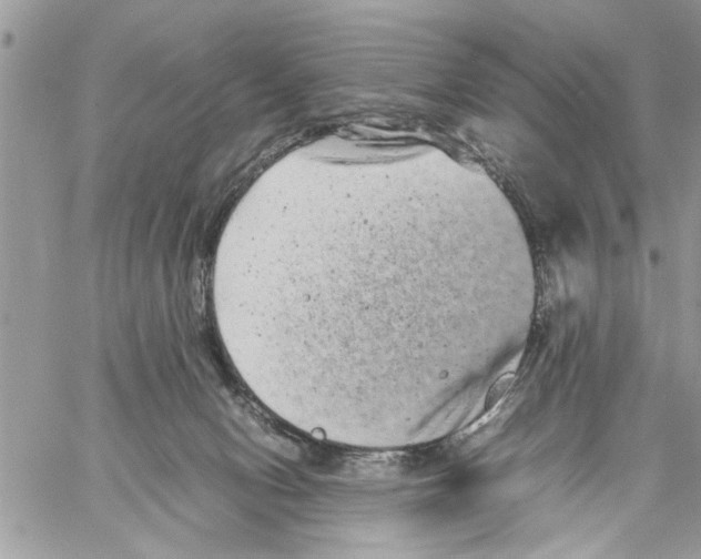 X0000061760078200512302314