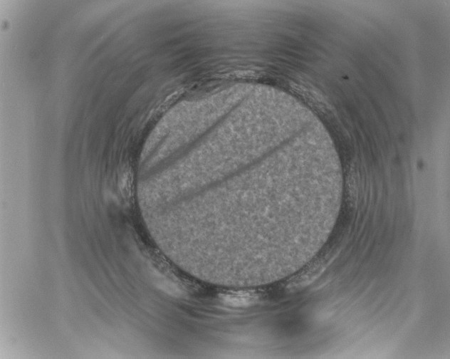 X0000061760079200512302314