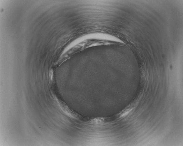 X0000061760080200512302314