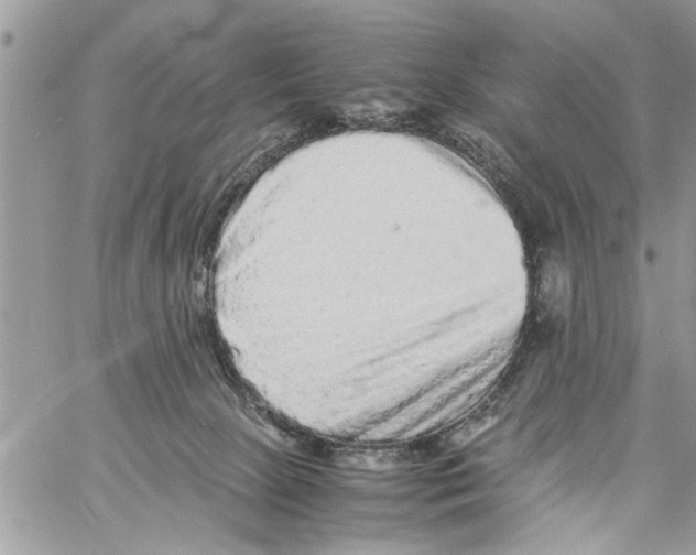 X0000061760081200512302314