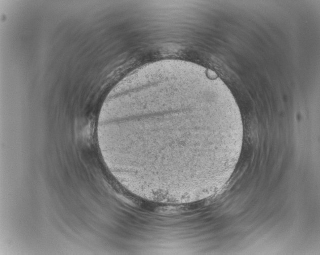 X0000061760082200512302314