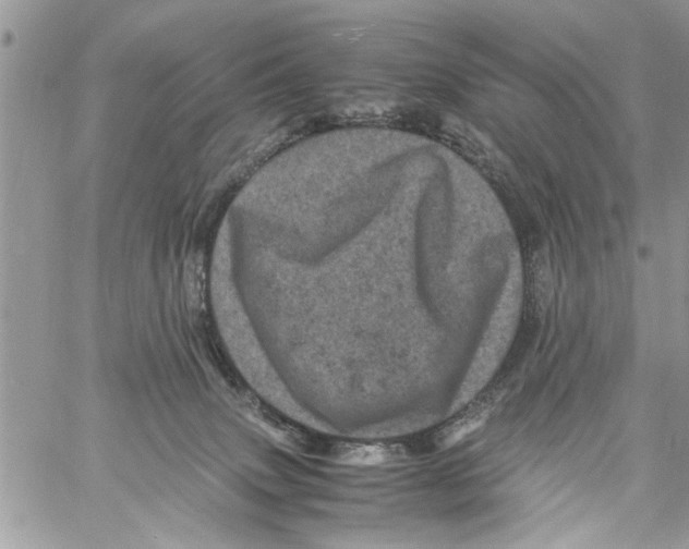 X0000061760083200512302314