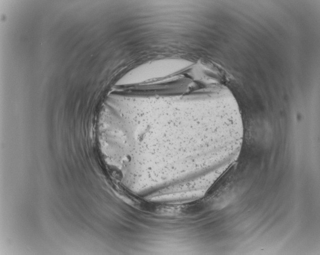 X0000061760084200512302314