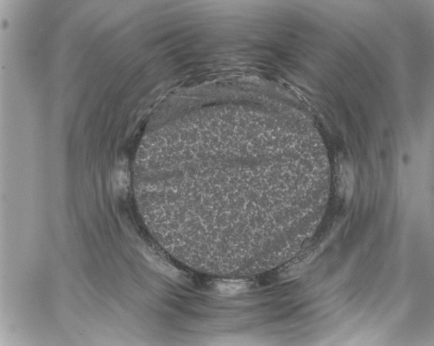 X0000061760085200512302314