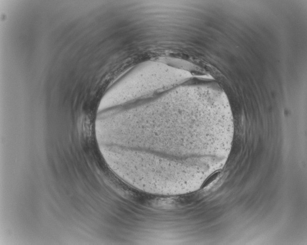 X0000061760086200512302314