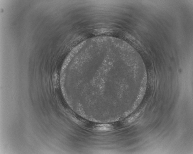 X0000061760087200512302315