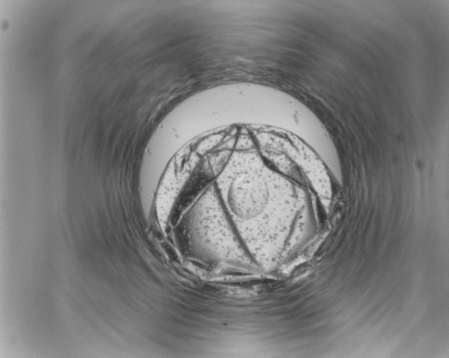 X0000061760088200512302315