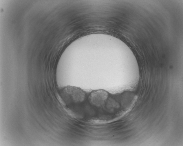 X0000061760089200512302315