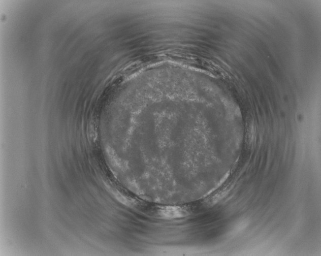 X0000061760091200512302315