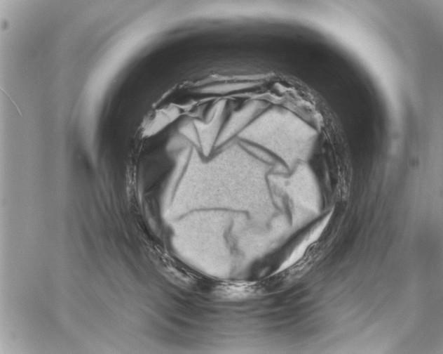 X0000061760093200512302315