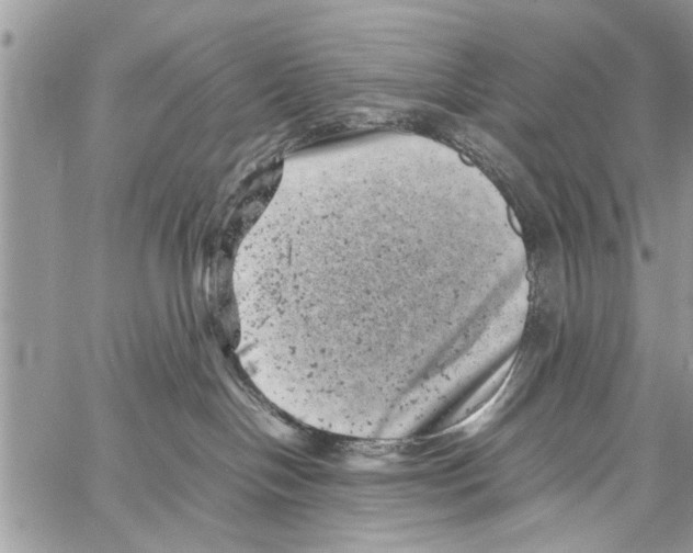 X0000061760094200512302315