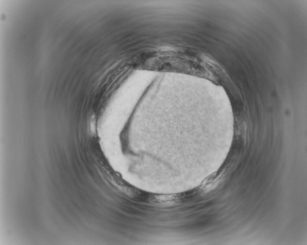 X0000061760095200512302315