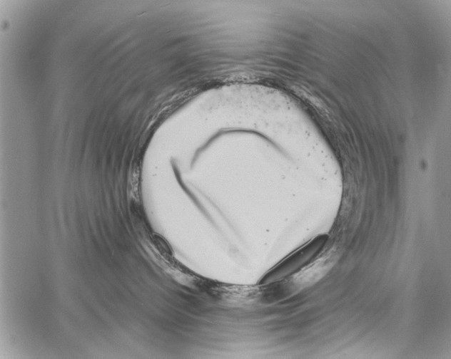 X0000061760096200512302315