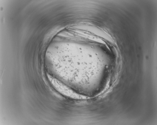 X0000061760097200512302314