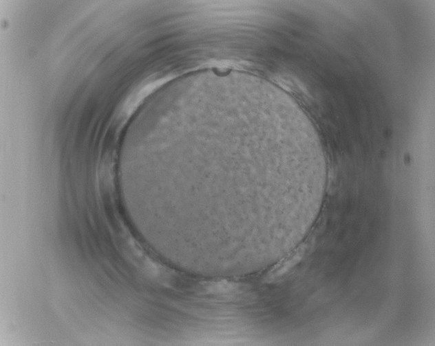 X0000061760098200512302314