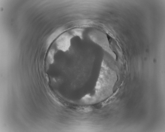 X0000061760099200512302314