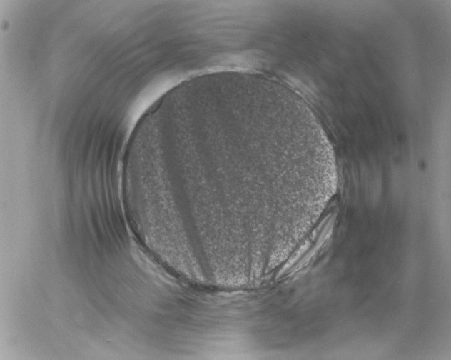 X0000061760100200512302314