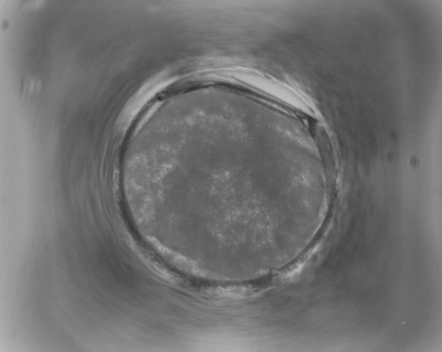 X0000061760103200512302314