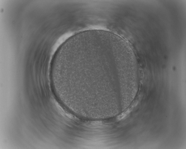 X0000061760104200512302314