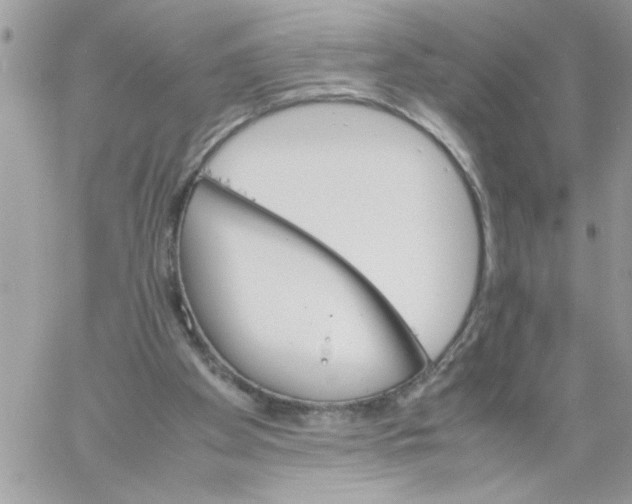 X0000061760105200512302314