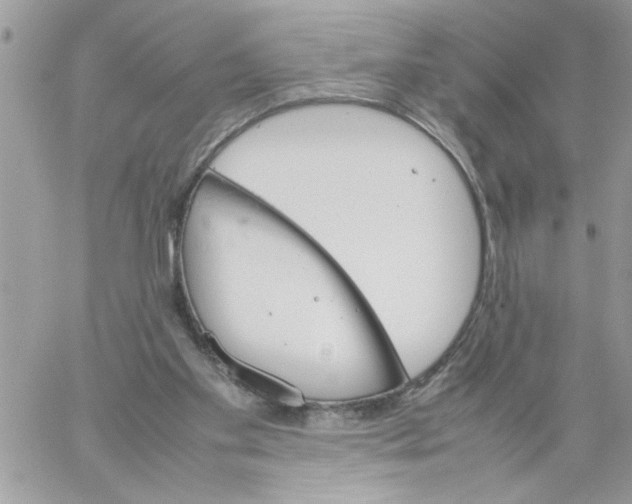 X0000061760109200512302314