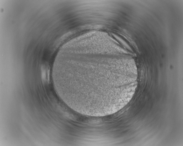 X0000061760110200512302314