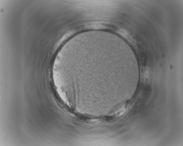 X0000061760111200512302314