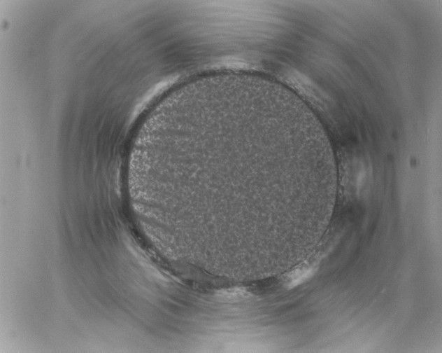 X0000061760112200512302314