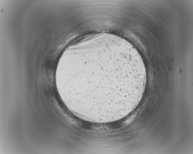 X0000061760113200512302314