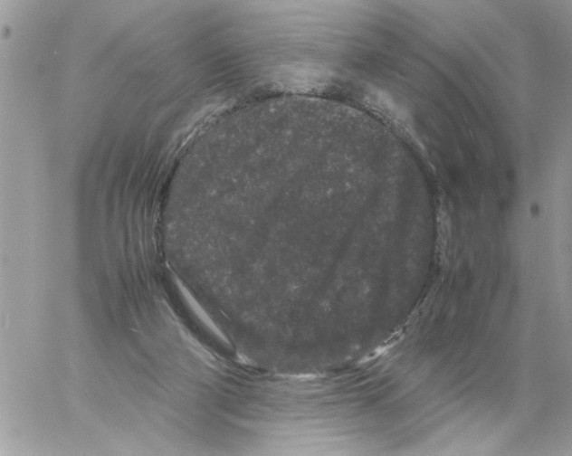 X0000061760114200512302314