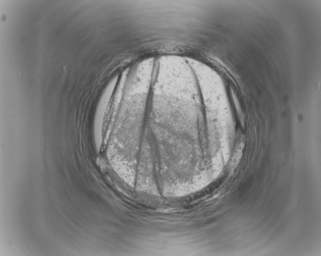 X0000061760117200512302314